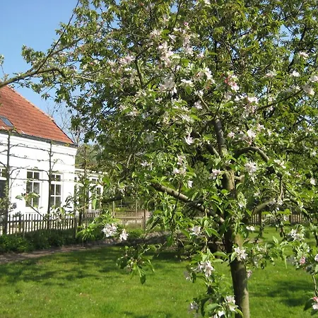B&B Wijnhoeve Koningbosch 오쇼트