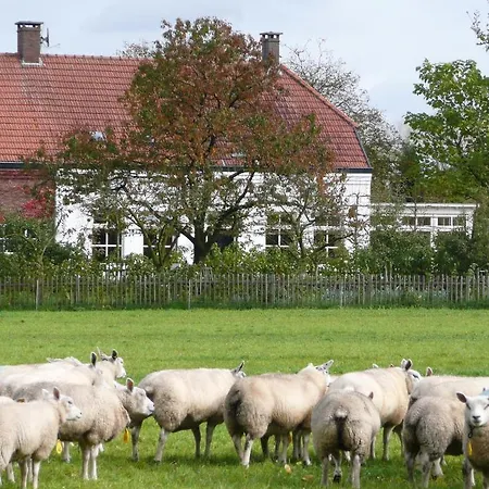 B&B Wijnhoeve Koningbosch 오쇼트