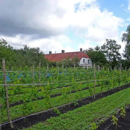 B&B Wijnhoeve Koningbosch 오쇼트