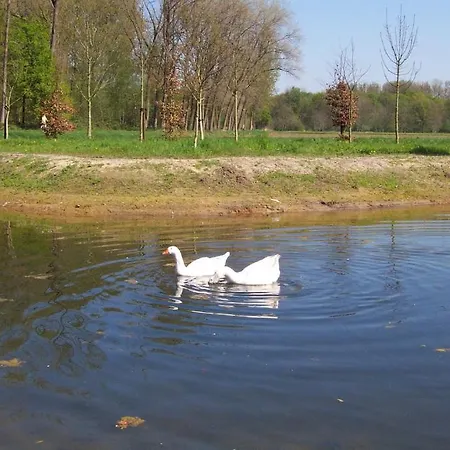 Wijnhoeve Koningbosch * 오쇼트