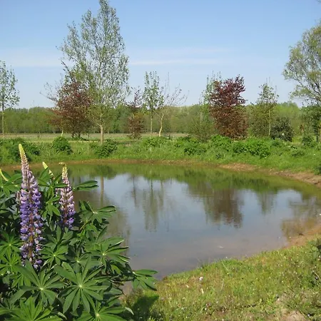Wijnhoeve Koningbosch * 오쇼트