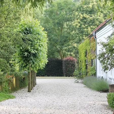 B&B Wijnhoeve Koningbosch